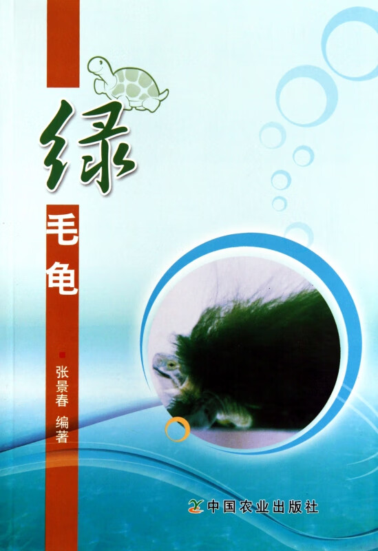 绿毛龟