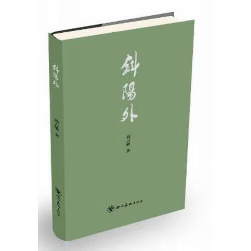 斜阳外【好书】