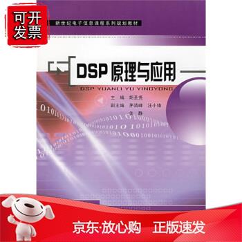 DP原理与应用正版