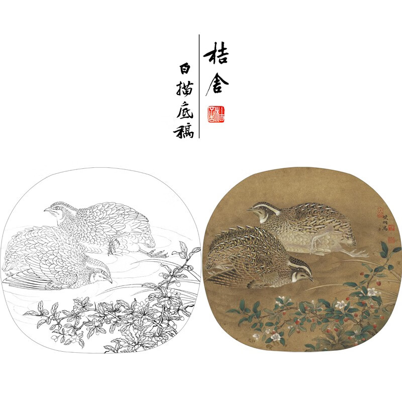 桔舍李晓明工笔画白描底稿鹌鹑圆形小品原作大小40*43厘米花鸟线稿带