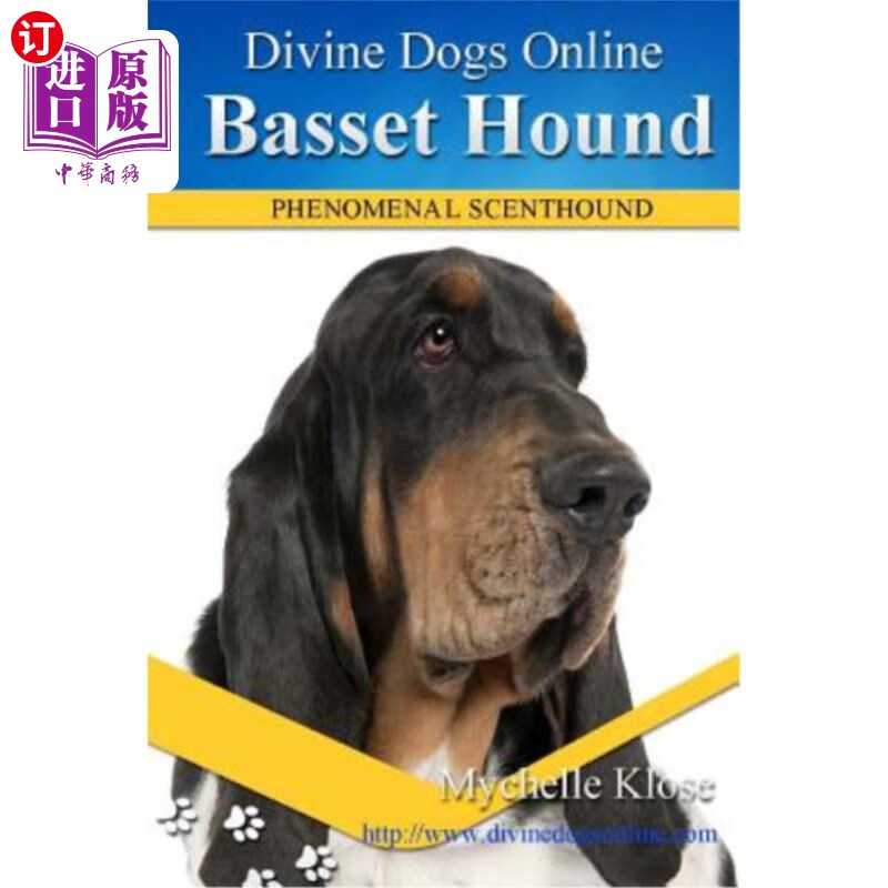 海外直订basset hound 巴塞特猎犬