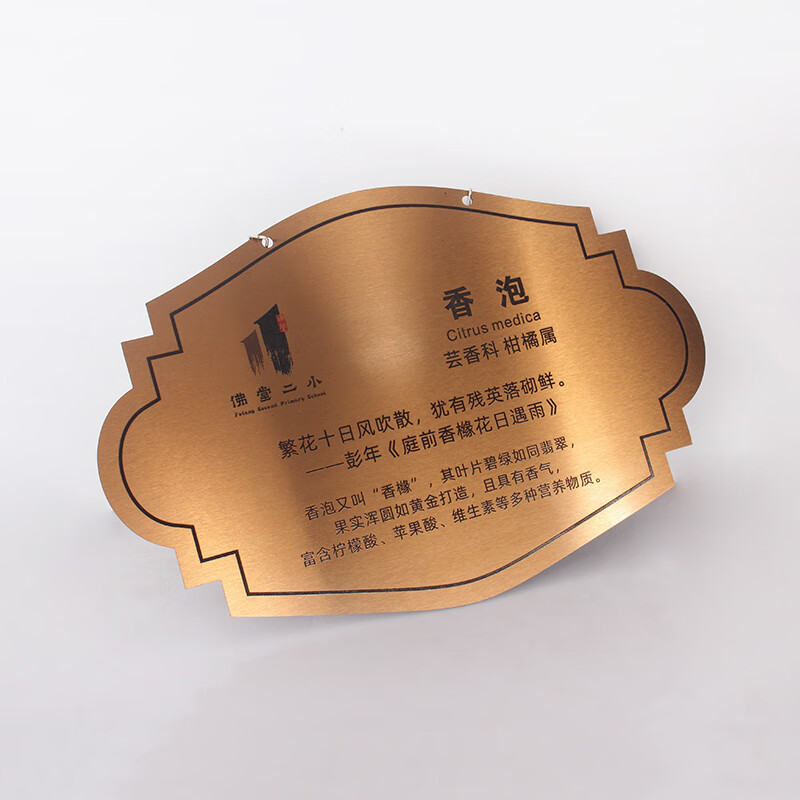 玫瑰金拉丝不锈钢 20x12cm