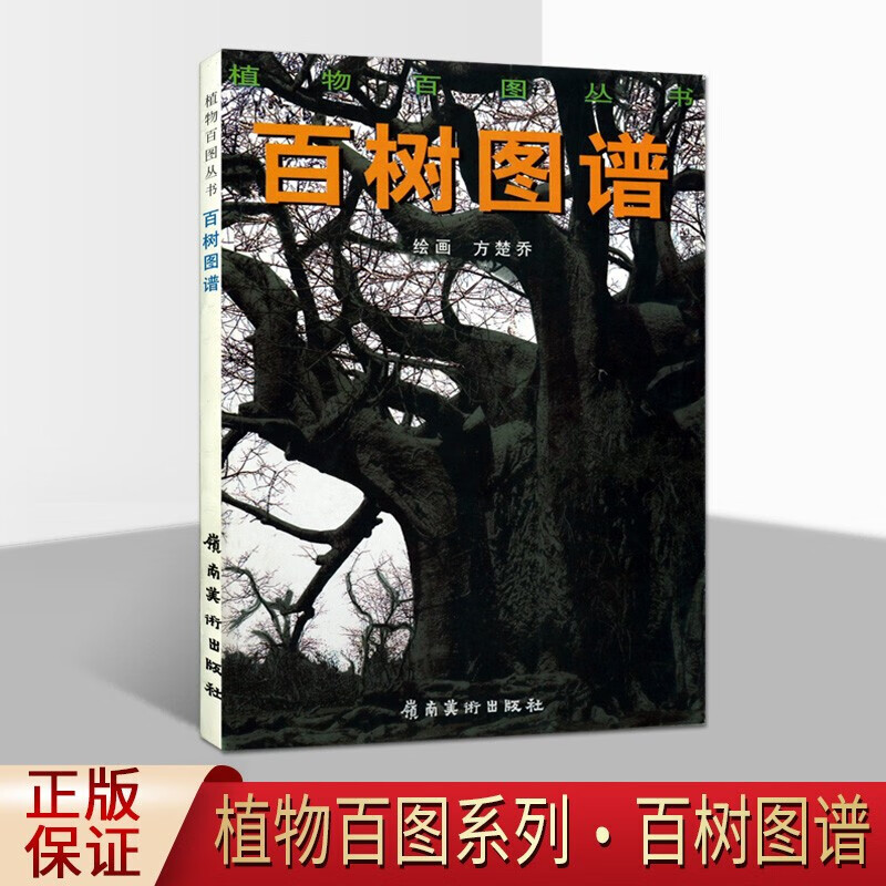 百树图谱 植物百图丛书 百树赏析书籍 植物书籍 绘画赏析 绘画技法书籍 绘画书籍 岭南美术出版社