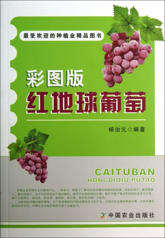 彩图版红地球葡萄