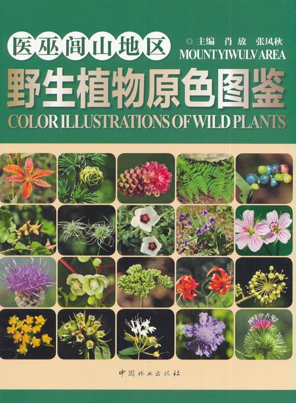 医巫闾山地区野生植物原色图鉴/肖放/科学与自然/9787503881251