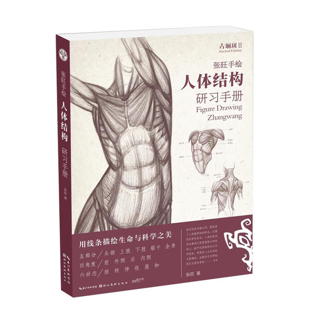 张旺人体结构研张旺湖北社9787539498942 绘画书籍