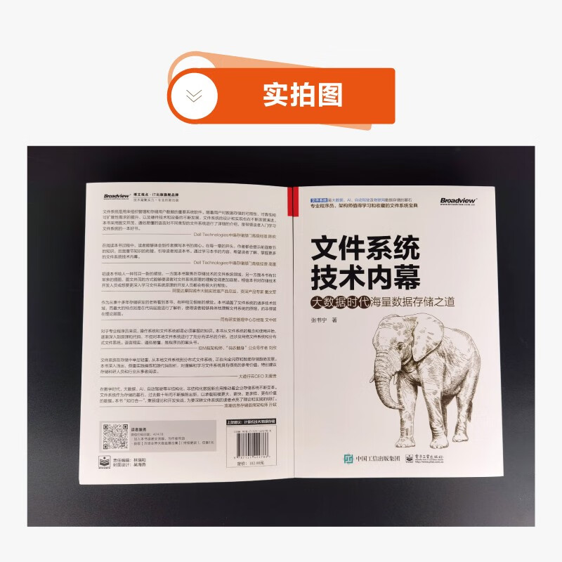 文件系统技术内幕：大数据时代海量数据存储之道(博文视点出品)详情图
