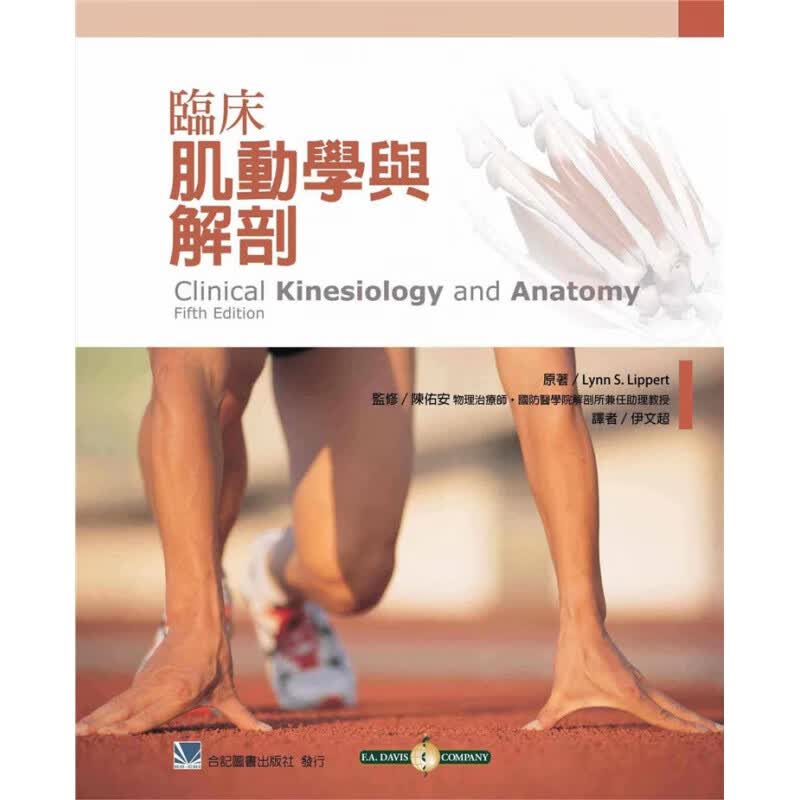 现货 正版 原版进口图书 临床肌动学与解剖 伊文超 合记