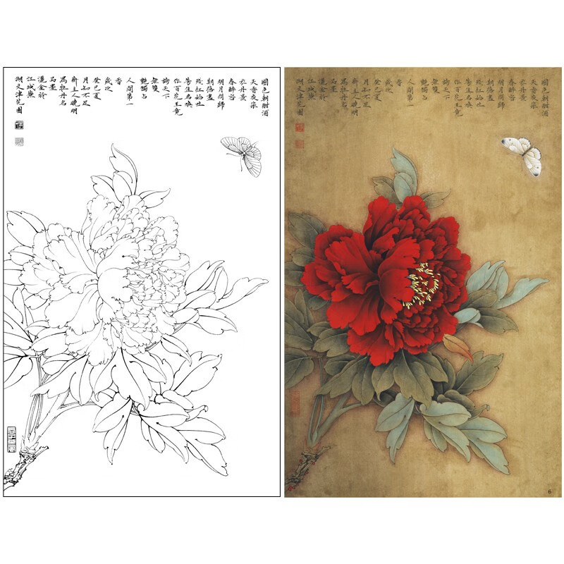 桔舍李晓明工笔画白描底稿牡丹小品原大41*63厘米花鸟线稿带a3步骤图