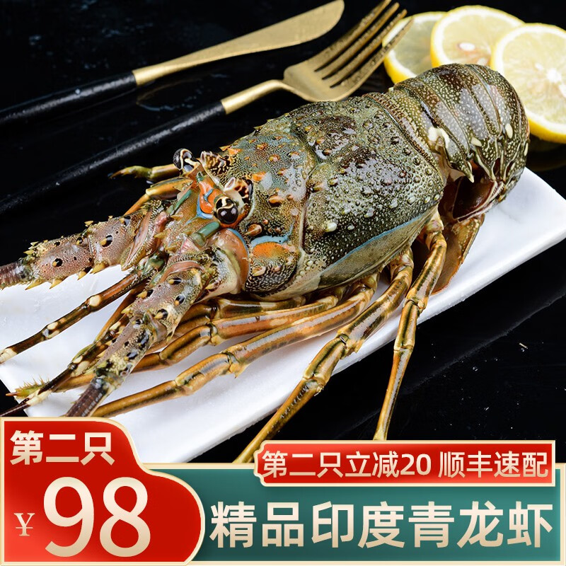 沃派 印度冷冻青龙虾 大龙虾 花龙虾 鲜活冷冻大虾 1只 袋装 300-400g