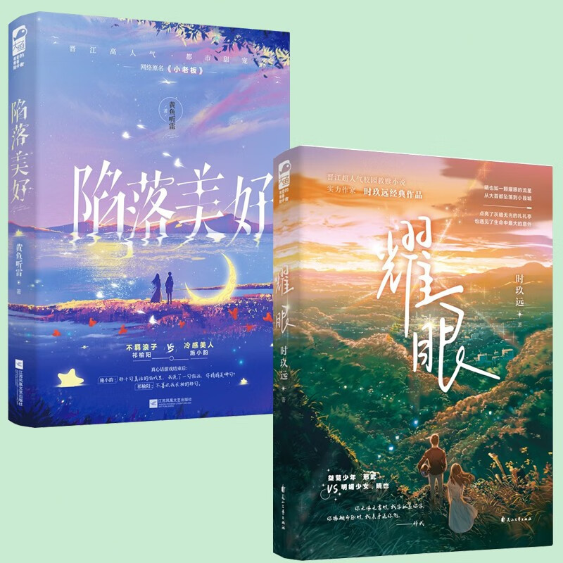 陷落美好 耀眼 青春文学 爱情/情感 9787559463524