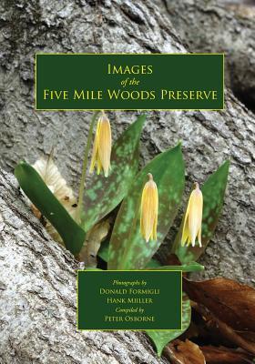 预订Images of the Five Mile Woods Preserve