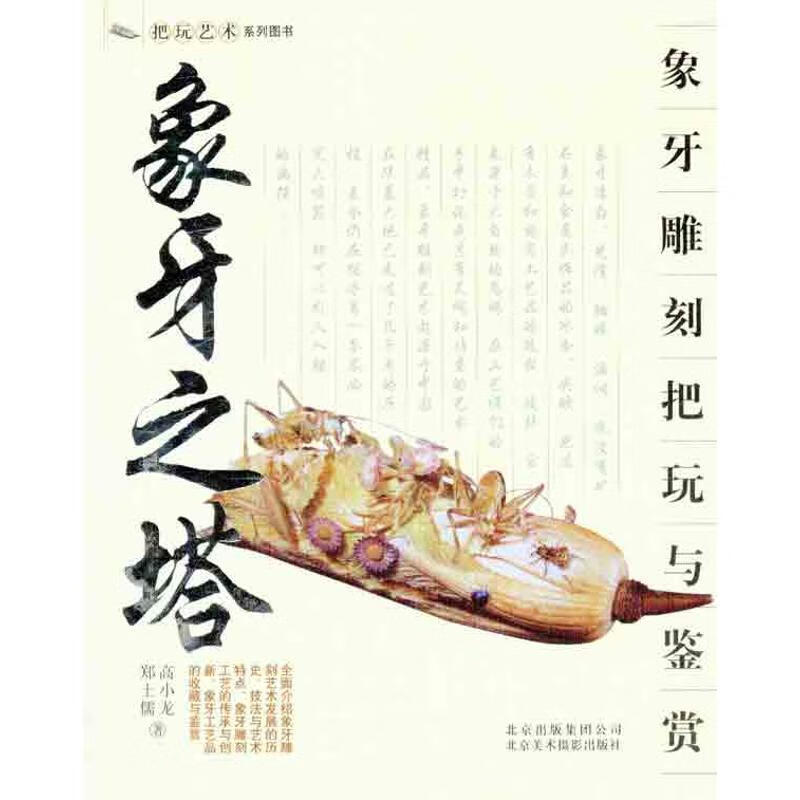 象牙之塔:象牙雕刻艺术把玩与鉴赏  【稀缺图书,放心购买】