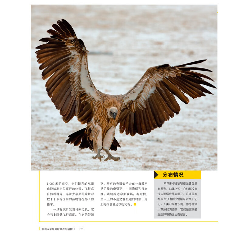 国家地理动物百科全书：非洲大草原的掠食者与猎物 国家地理少儿百科读物 [0-3岁](中国环境标志产品 绿色印刷)详情图