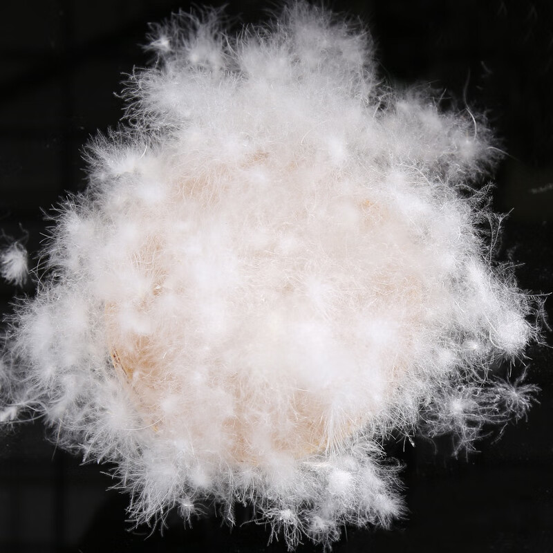 散装羽绒鹅绒羽绒国标90白鸭绒95鹅绒大朵原料水洗羽绒服被填充 99