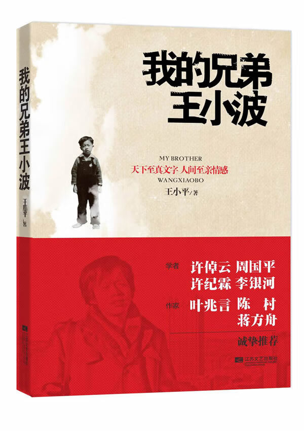 我的兄弟王小波 王小平著【正版】