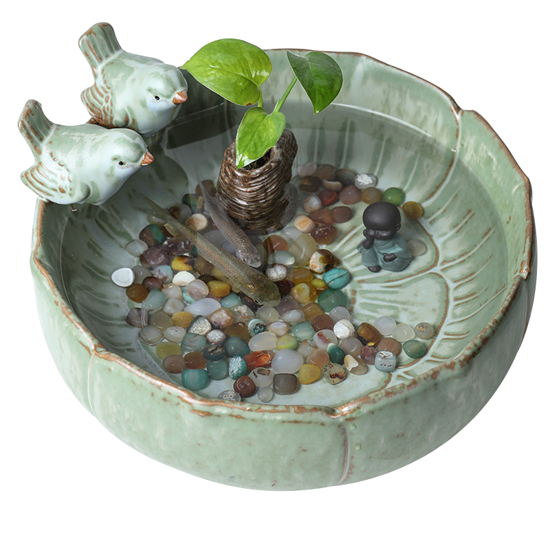 裕軒堂銅錢草花盆水仙盆睡蓮?fù)肷彑o孔金錢陶瓷水養(yǎng)水培多肉小鳥拼盤家用 小鳥K色水培(大號(hào)） 大