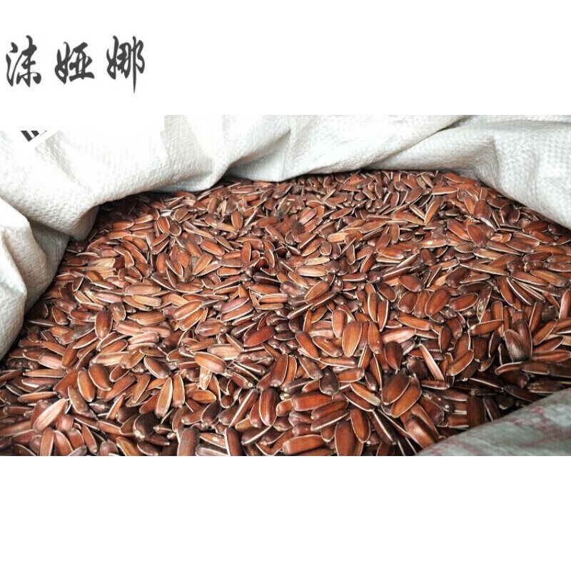 虎钢馋云南新鲜品种原味甜脆生红瓜子带壳/葵花籽生的向日葵南瓜子仁5