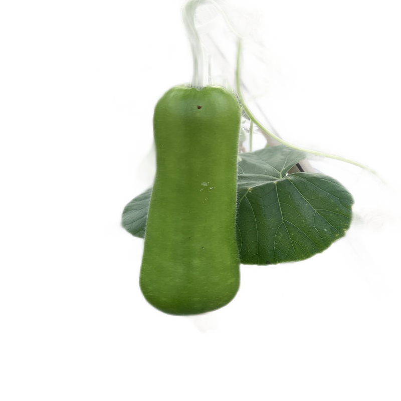 阳台种菜盆家庭阳台种菜神器长方形塑料长条花盆槽盆栽蔬菜种植盆