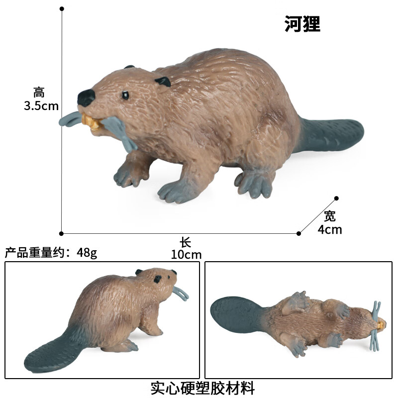 儿童认知仿真动物模型野生哺乳犰狳铠鼠穿山甲食蚁兽静态摆件橡胶玩具