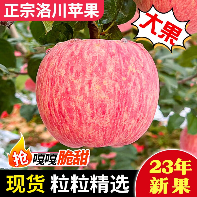 沙窝曙光（shawoshuguang）陕西洛川红富士苹果新鲜当季脆甜冰糖心时令丑苹果水果生鲜 带箱5斤装70-80mm（净重4.5斤）怎么样,好用不?