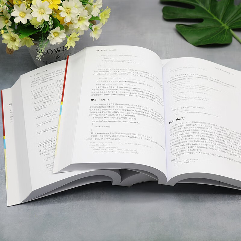 Java官方编程手册（第12版·Java 17）套装上下册