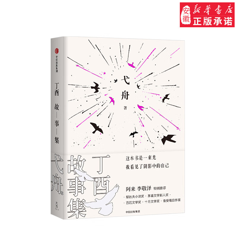 丁酉故事集小说弋舟9787508687636安徽新华书店中信出版
