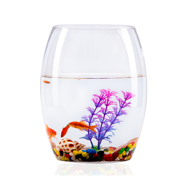 生态圆形玻璃金鱼缸乌龟缸迷你小型造景家用水族箱 小号裸缸 口径10cm