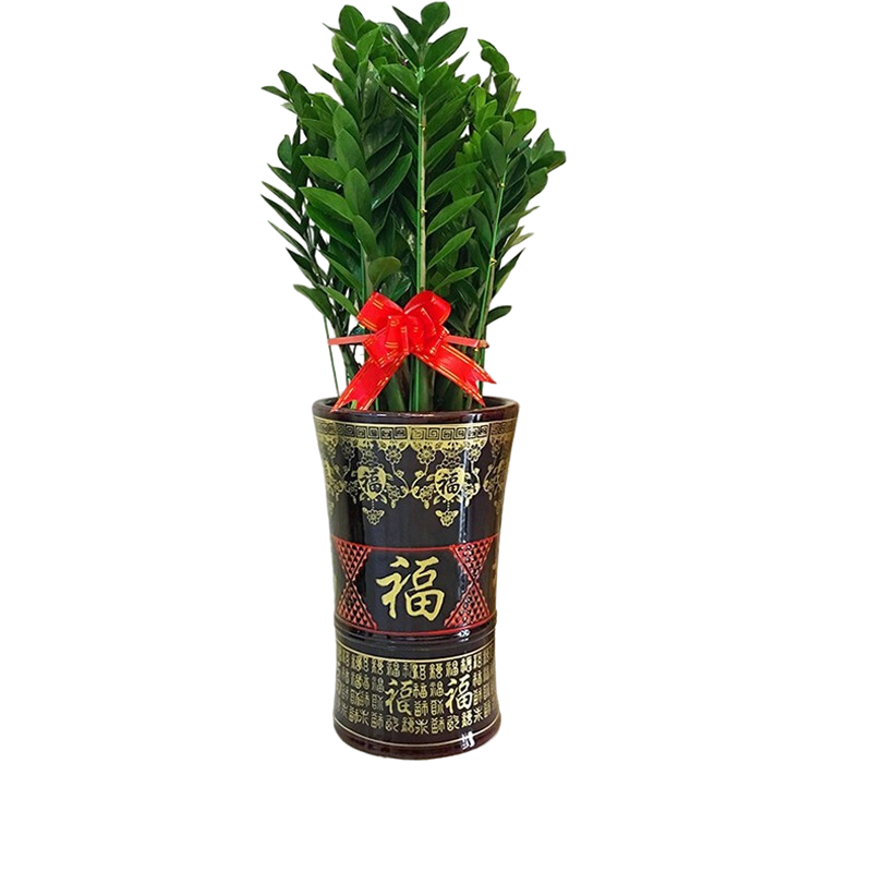 Only youСʱֲڿ칫ҿҵǨ Ǯ