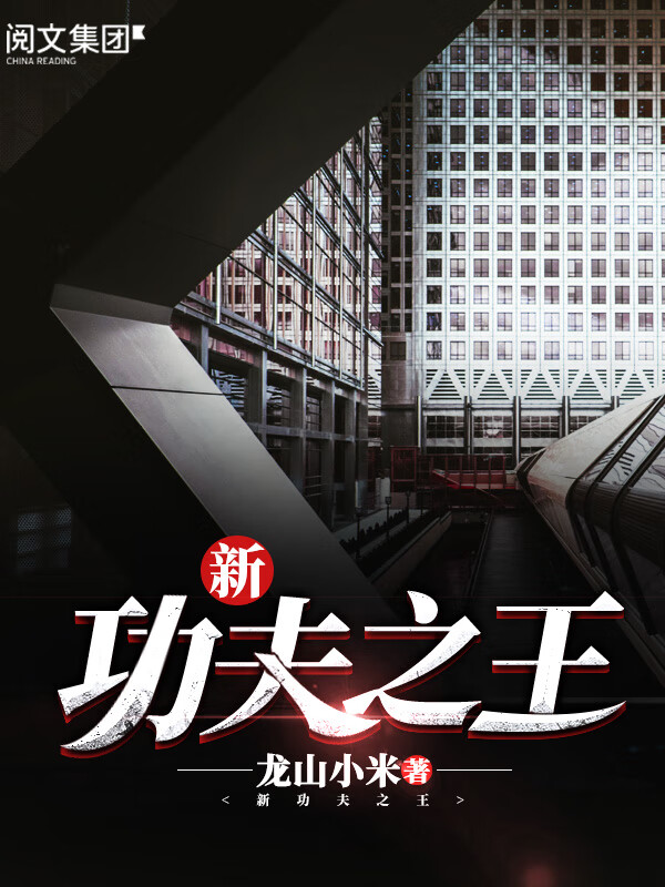 新功夫之王(四)