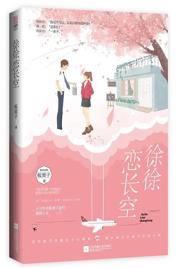 徐徐恋长空 板栗子 青春文学 9787559448811
