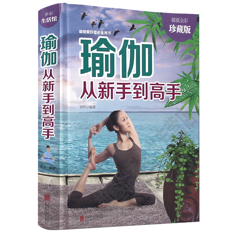 瑜伽从新手到高手 瘦身塑身教程瑜伽体式大全 瑜伽书籍瘦身 阴瑜伽 减肥神器初级入门瑜伽教材书 减肥塑身健身瑜伽练习书