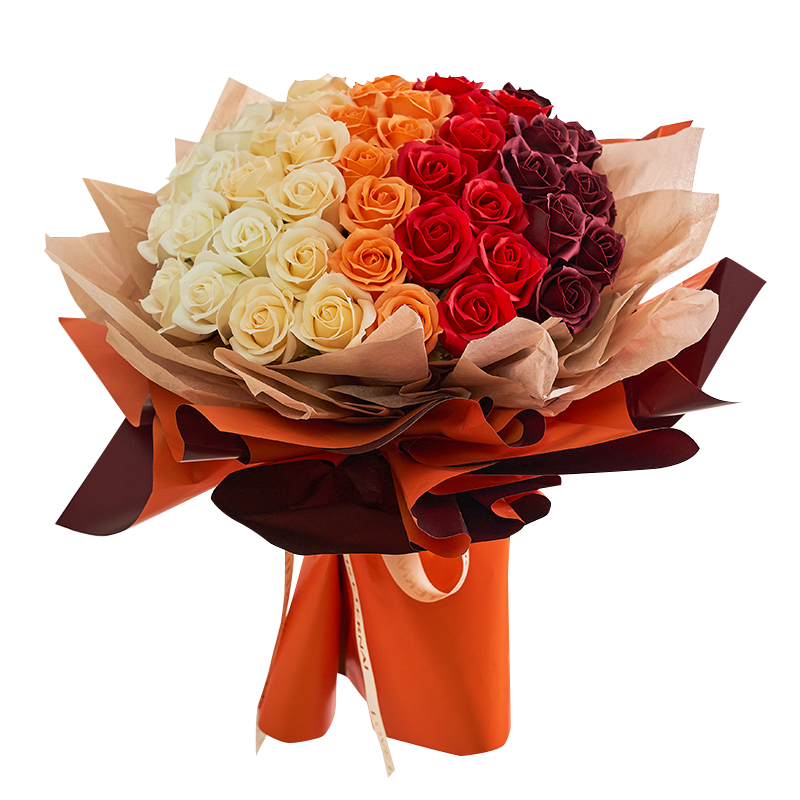 plus会员:im hua hua 52朵橘色香皂花玫瑰花花束 渐变花束 520礼物