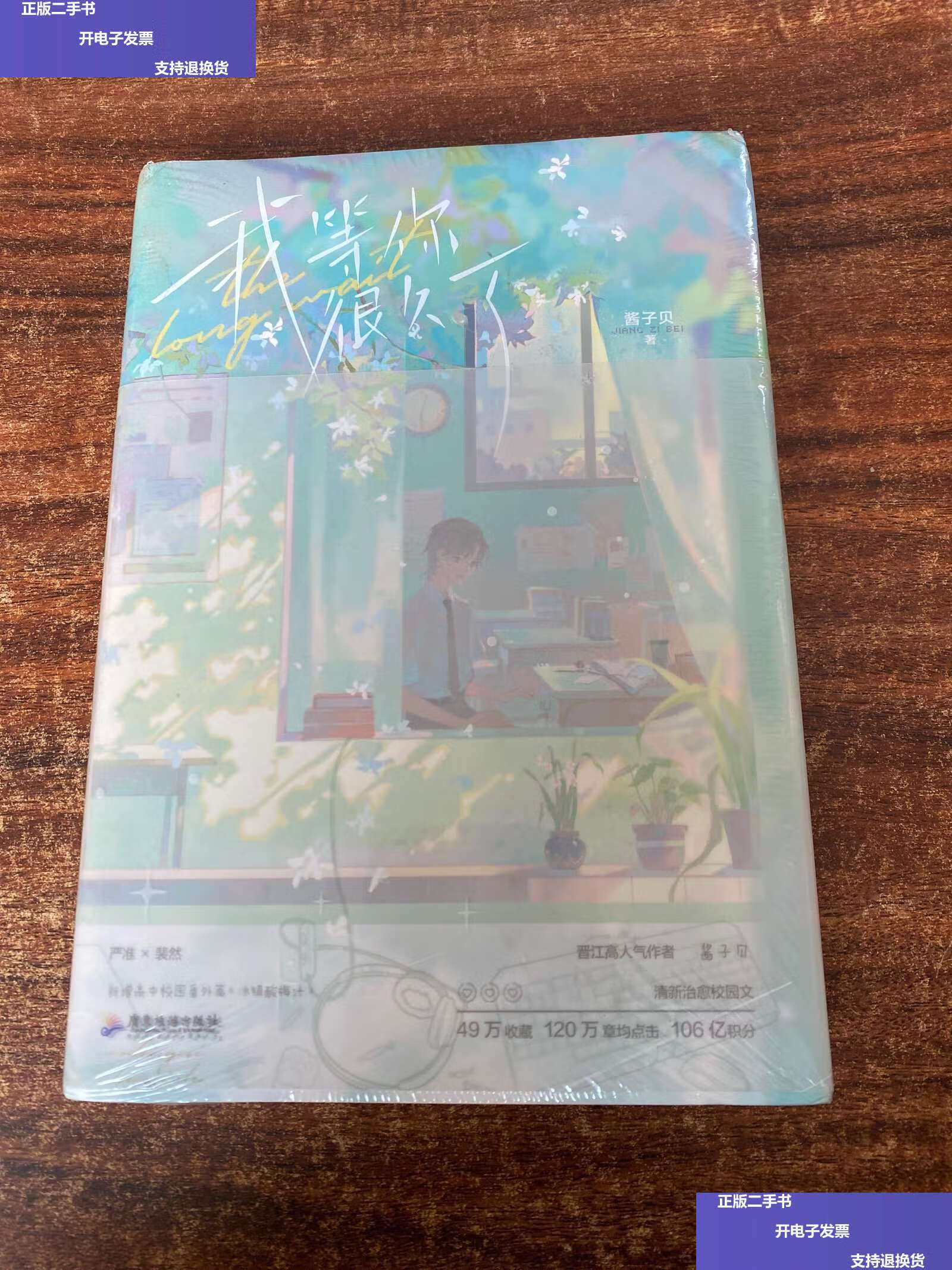 【二手9成新】我等你很久了 /酱子贝 广东旅游