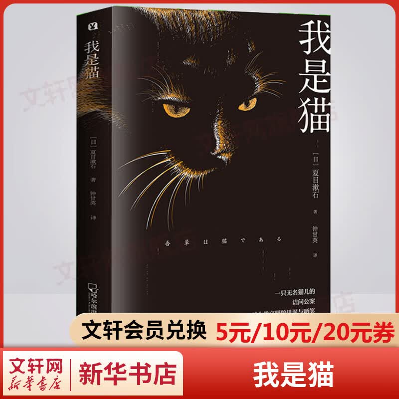 我是猫