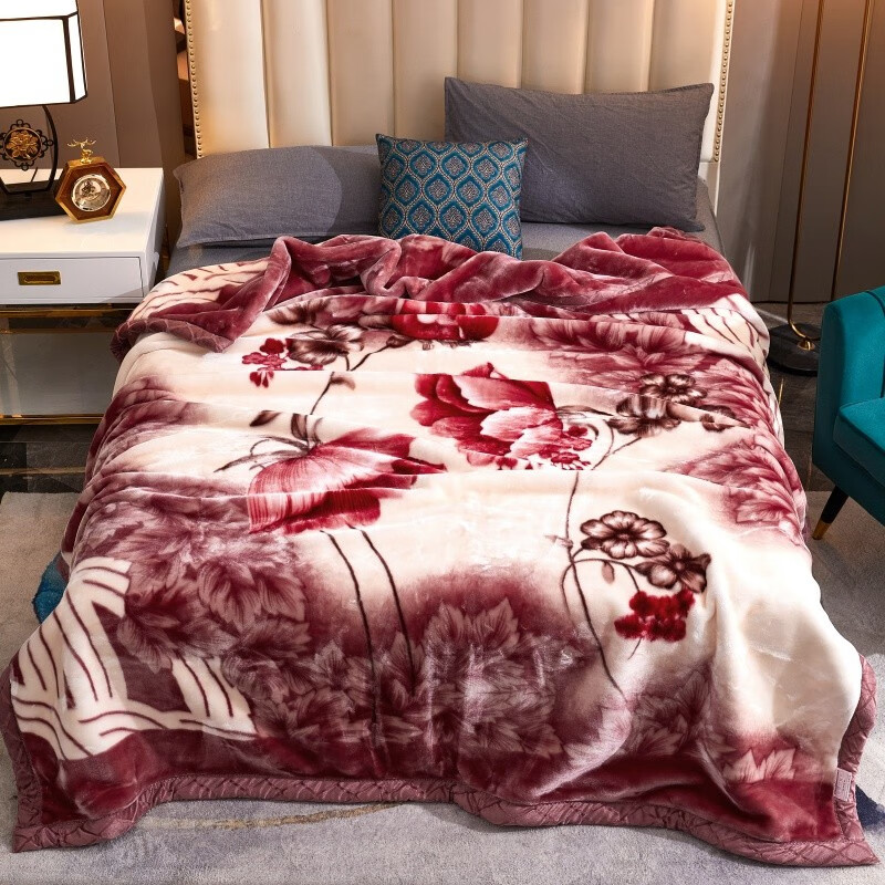 辰枫家纺 拉舍尔毛毯单人双人保暖盖毯秋冬季礼品毯子床上用品 45豆沙 200*230cm 10斤