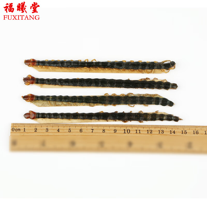 福曦堂 蜈蚣 别名百足虫 千足虫 中药材 蜈蚣5条(长度11cm)