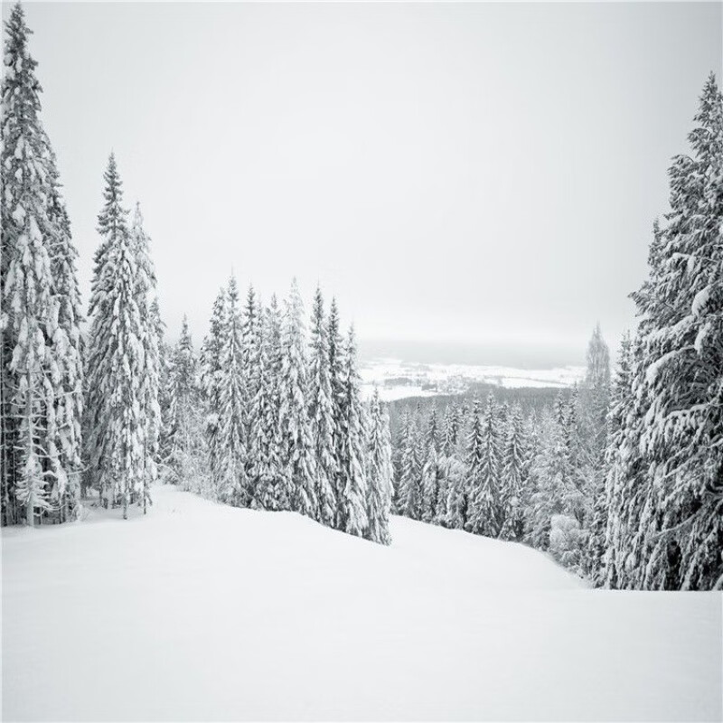 华煦冬天雪景拍照喷绘布工作室艺术写真布室内写真雪景背景布直播背景 1 宽1.5高1卷发发货