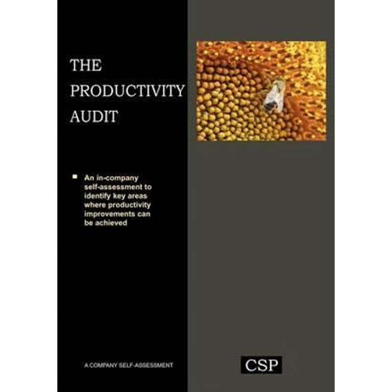 按需印刷 the productivity audit