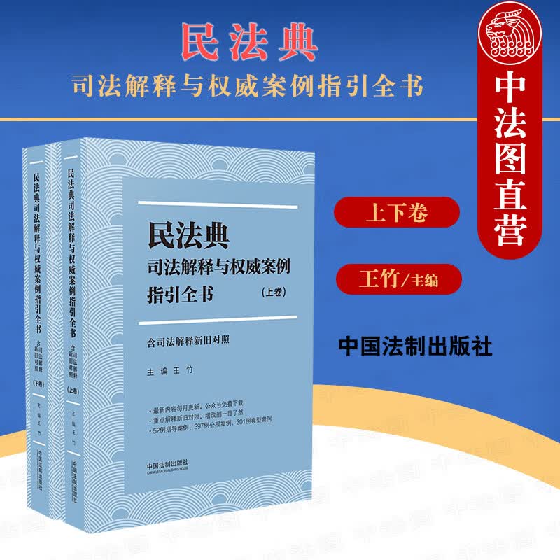 法典司法解释与权威案例指引全书 全2卷 王竹 法制 条文主旨新旧对照关联法规司法解释适用案例指导