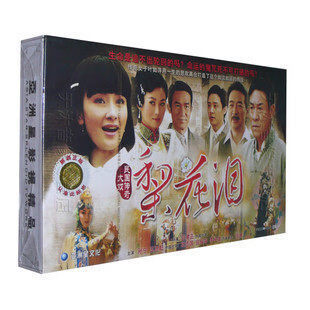 正版电视剧 梨花泪 珍藏版12dvd光盘碟片 杜志国 孙宁 王思懿