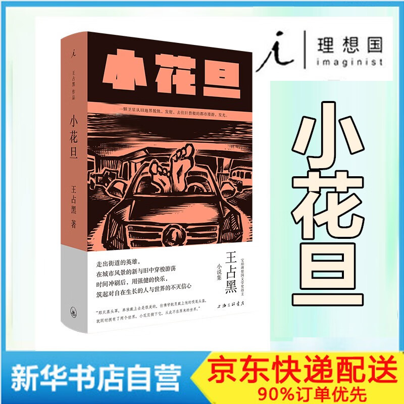 小花旦 王占黑小说 理想国