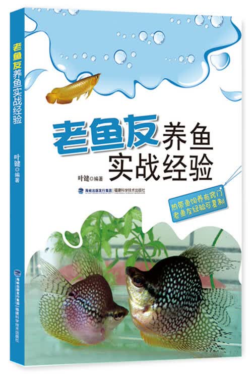 老鱼友养鱼实战经验 叶键【正版书籍】