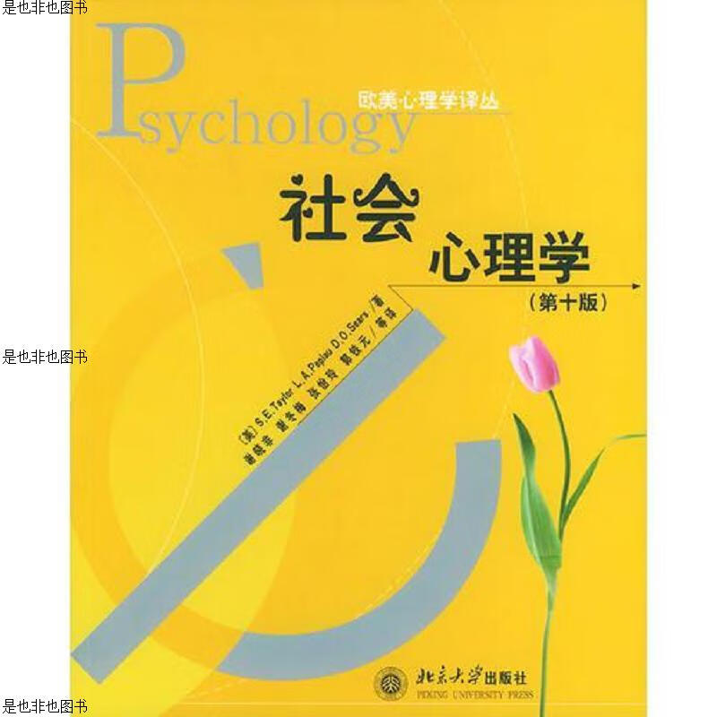 社会心理学：第十版