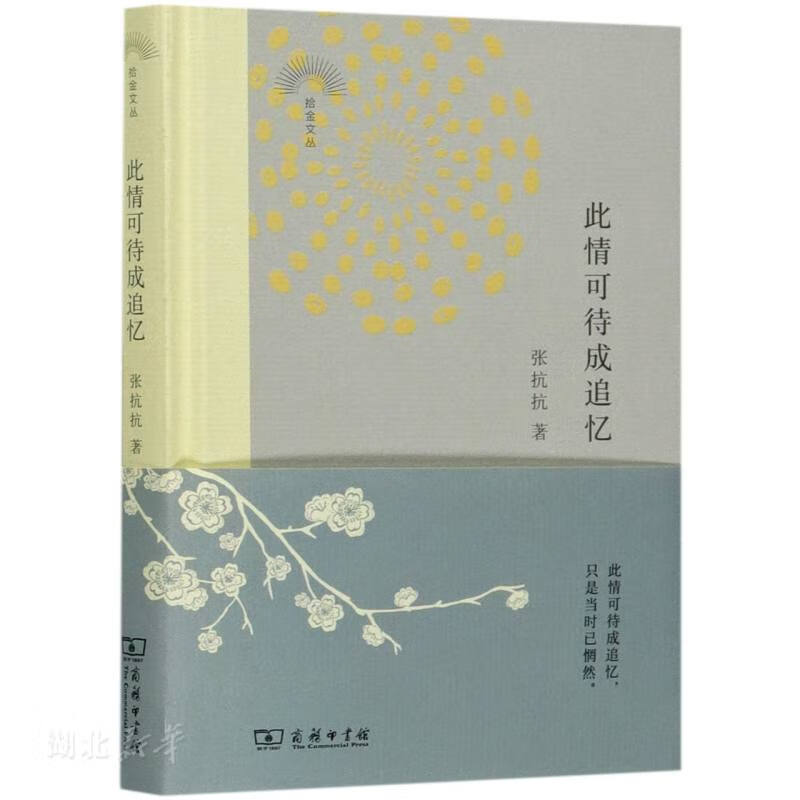 此情可待成追忆