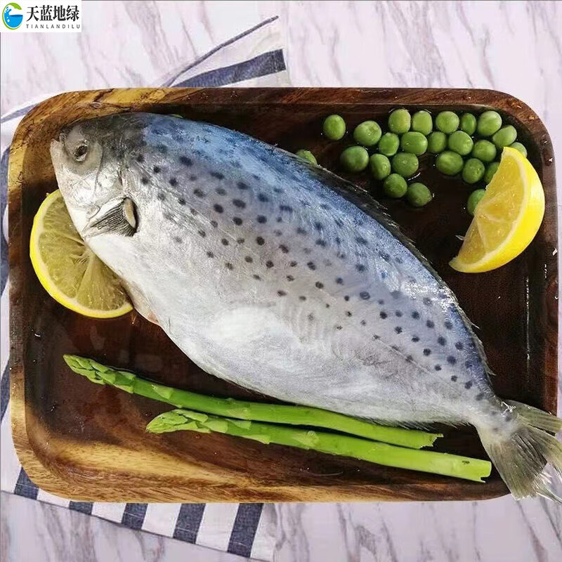 鹿凌青 大西洋雪花鲳鱼 大花鲳 生鲜 海鲜水产鱼类4斤装 【雪花鲳】4