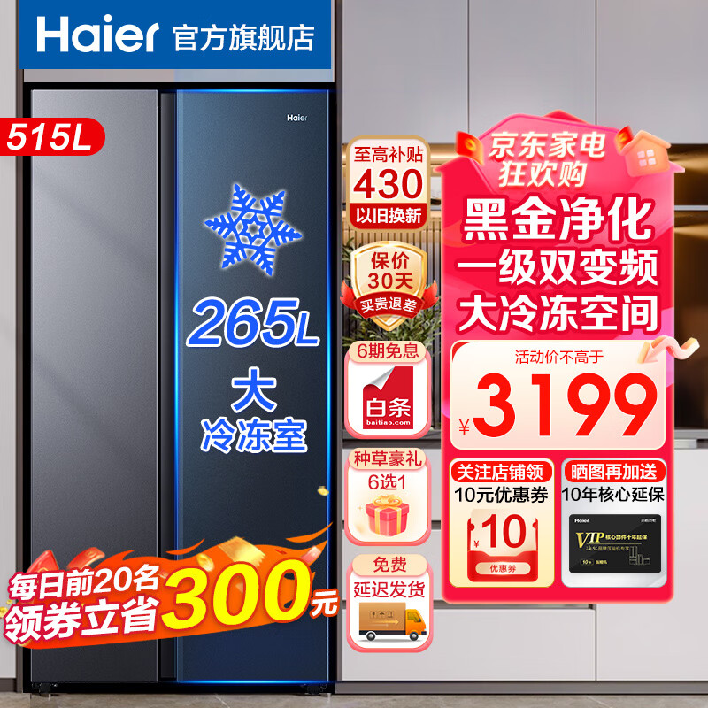 海尔（Haier）冰箱【新款】对开门515升双开门海尔冰箱 一级能效双变频风冷无霜纤薄机身家用大容量黑金净化 【巨能冻】对开门+一级双变频+265L大冷冻