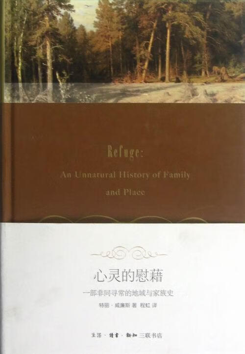 心灵的慰藉-一部非同寻常的地域与家族史特