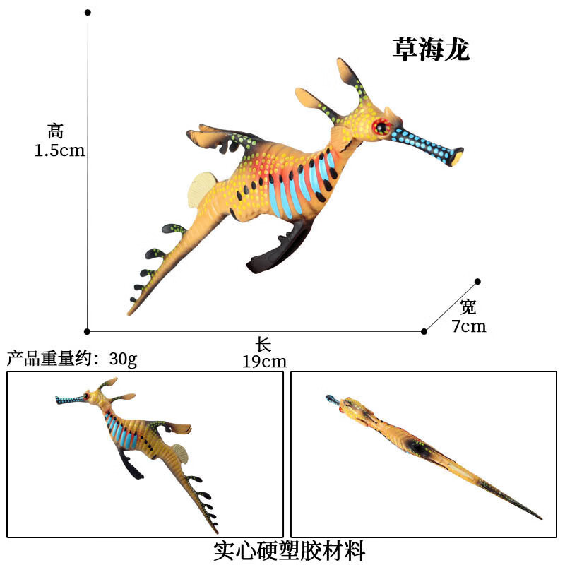 仿真动物模型实心海洋海马海星鹦鹉螺寄居蟹玩具摆件 m-1096草海龙