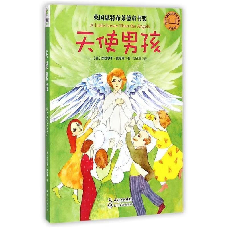 天使男孩-彩插版